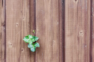 Knowing Your Boundary Needs by Julie Mills