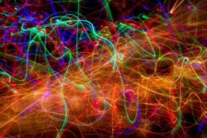addiction roots