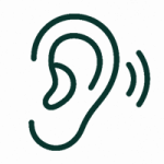 SSP icon
